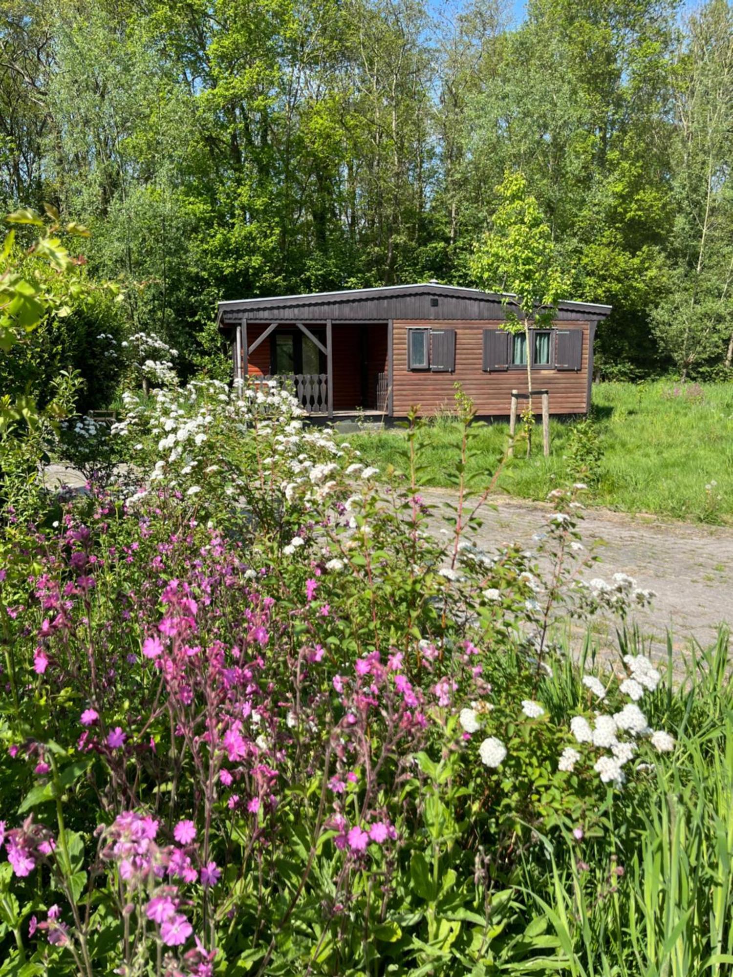 Hoeve Veganza B&B Vlagtwedde Экстерьер фото